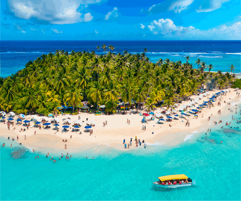 MOOVE | Plataforma de Video Commerce para Marcas y Creadores